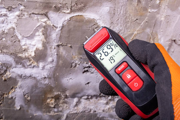 Best Health and Safety Mold Remediation in Lamar, MO