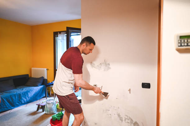 Best Residential Mold Remediation in Lamar, MO